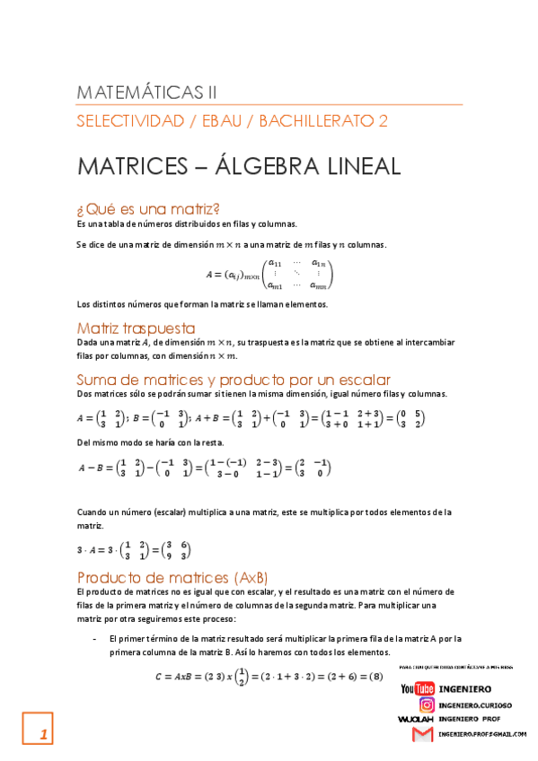 Miniatura del documento Matrices-y-determinantes-Matematicas-2.pdf