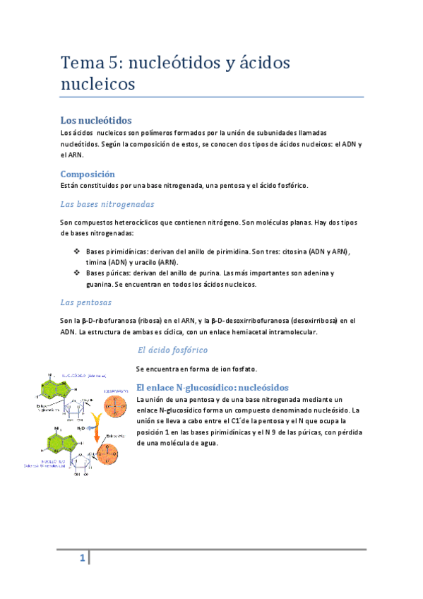 Miniatura del documento Tema-5-nucleotidos.pdf