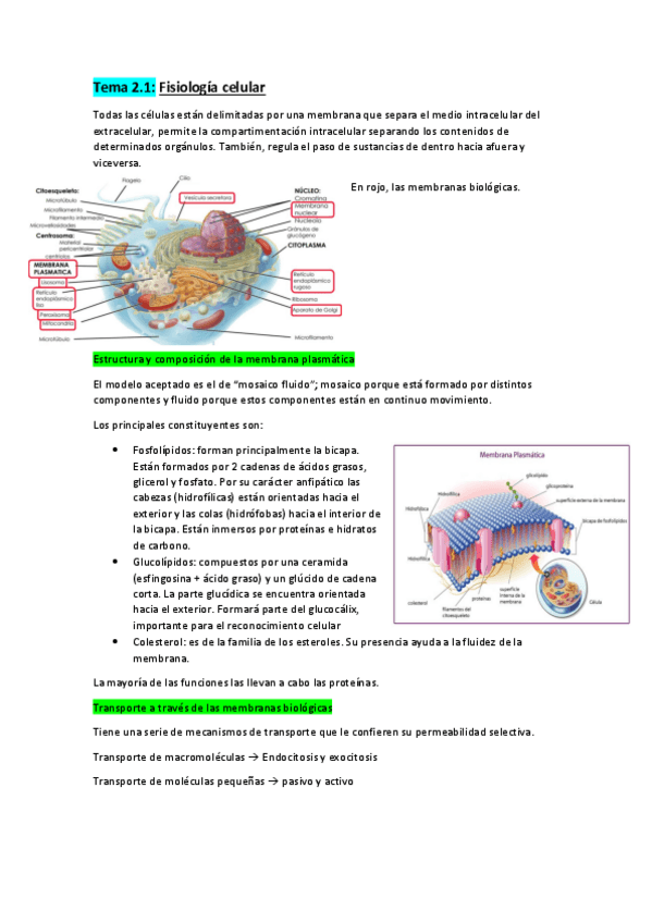 Miniatura del documento Tema-2.pdf