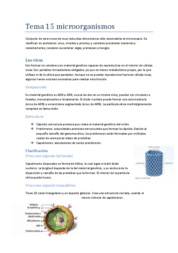 Miniatura del documento tema-15-microorganismos.pdf