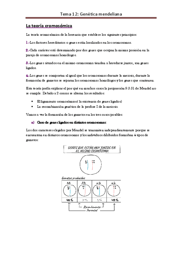 Miniatura del documento tema-12-genetica-mendel.pdf