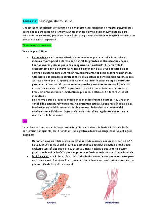 Miniatura del documento Tema-2.pdf