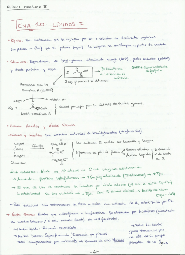 Miniatura del documento Resumen Lípidos.pdf
