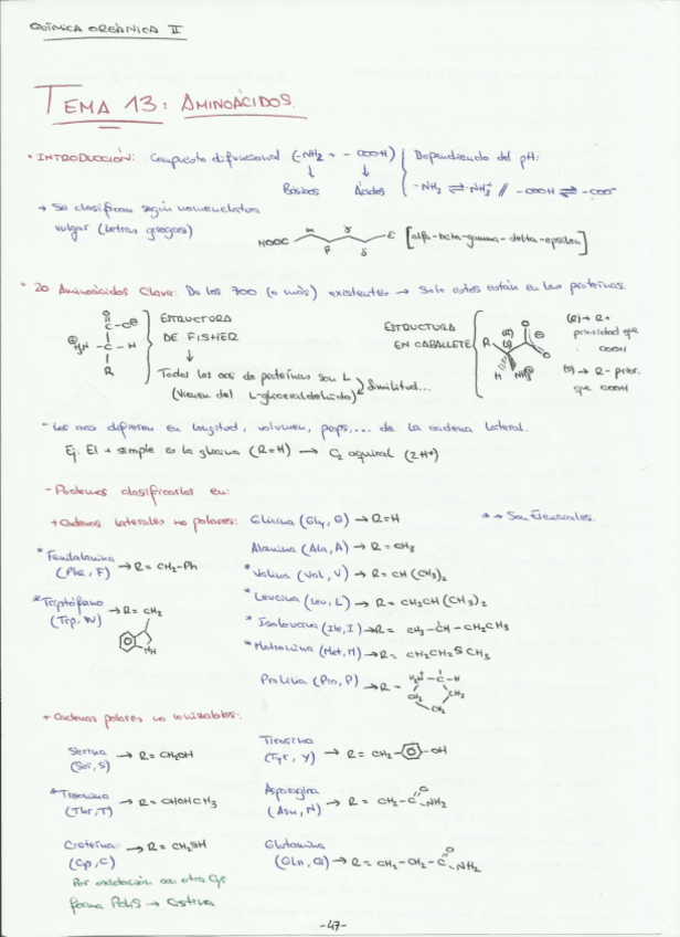 Miniatura del documento Resumen Proteínas.pdf