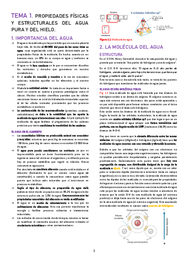 Miniatura del documento TEMA-1.pdf
