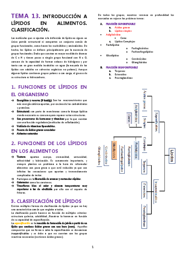 Miniatura del documento TEMA-13.pdf