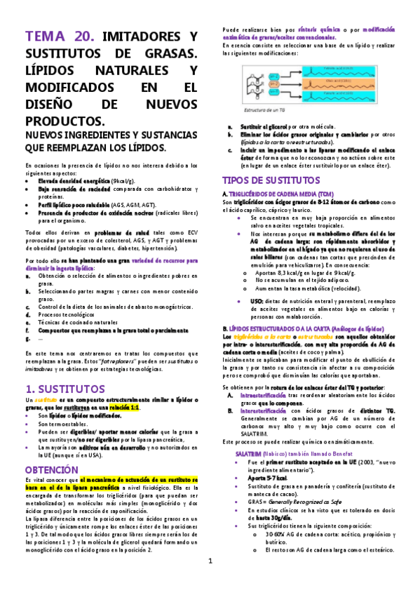 Miniatura del documento TEMA-20.pdf