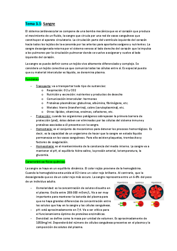 Miniatura del documento Tema-3.pdf