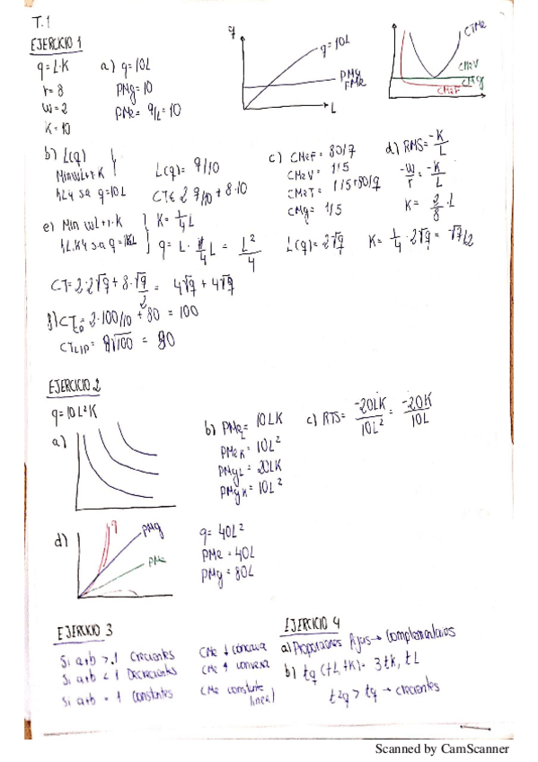 Miniatura del documento temas-1-2.pdf