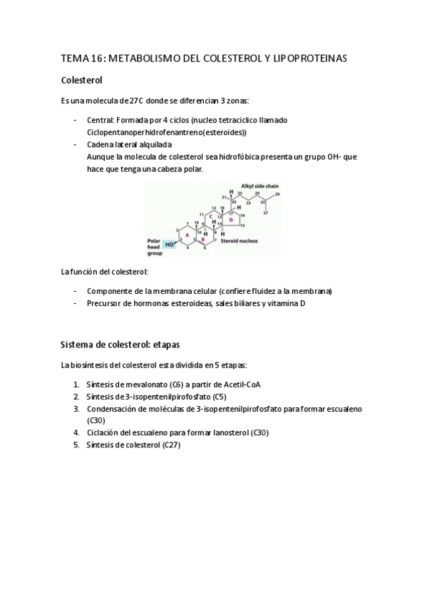 Miniatura del documento TEMA-16.pdf