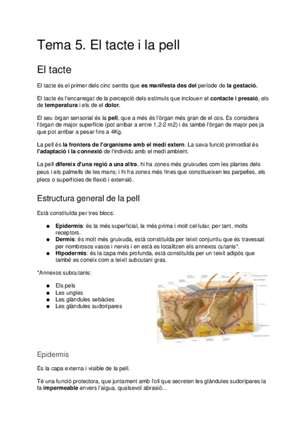 Miniatura del documento CarmonaTema-5Tacte-i-pell.docx