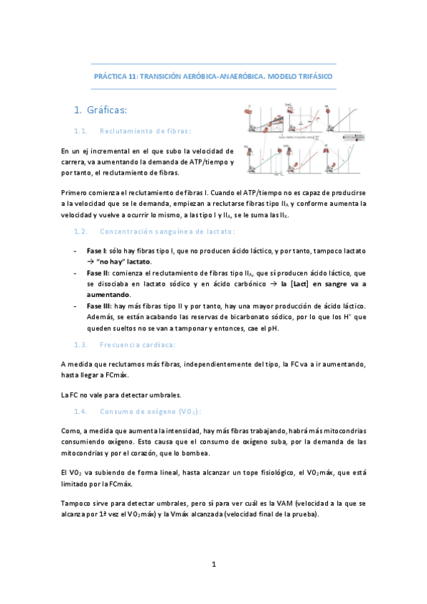 Miniatura del documento PRACTICA-11-TRANSICION-AEROBICA-ANAEROBICA.pdf
