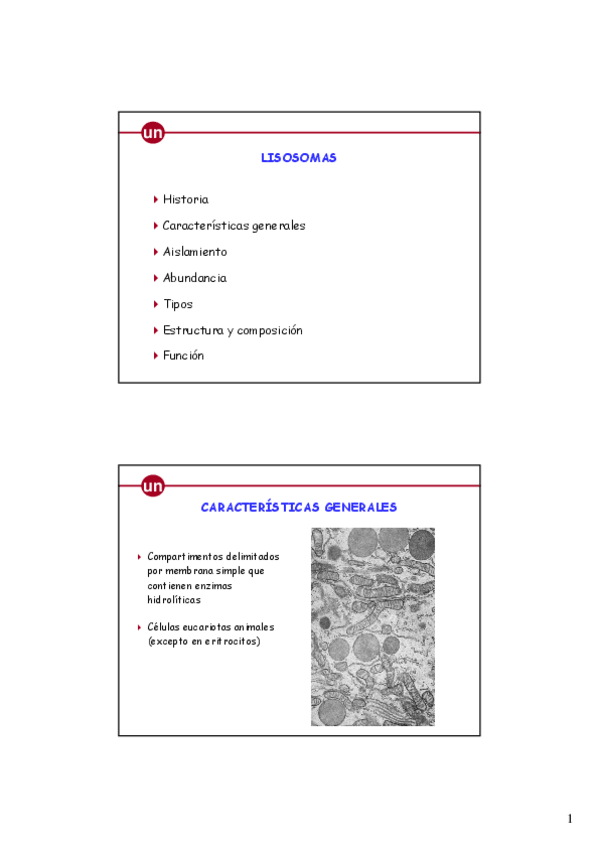 Miniatura del documento Lisosomas y peroxisomas.pdf
