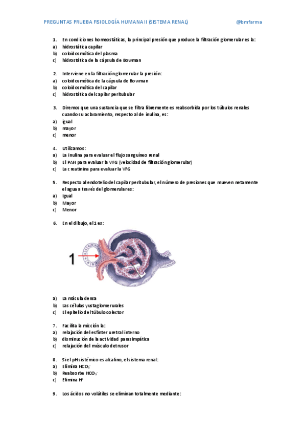Miniatura del documento PREGUNTAS-TIPO-TEST-SISTEMA-RENAL.pdf