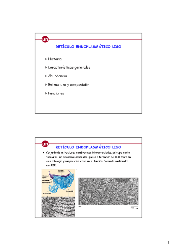 Miniatura del documento REL.pdf