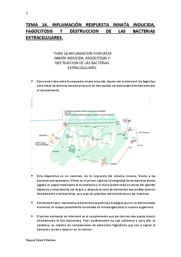Miniatura del documento tema-16-Prf.pdf