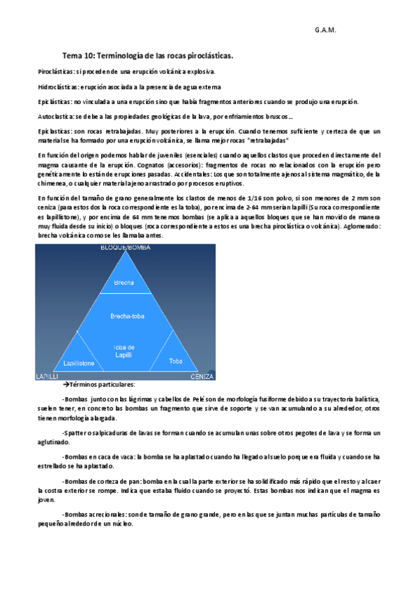 Miniatura del documento Tema 10 VULCA.pdf