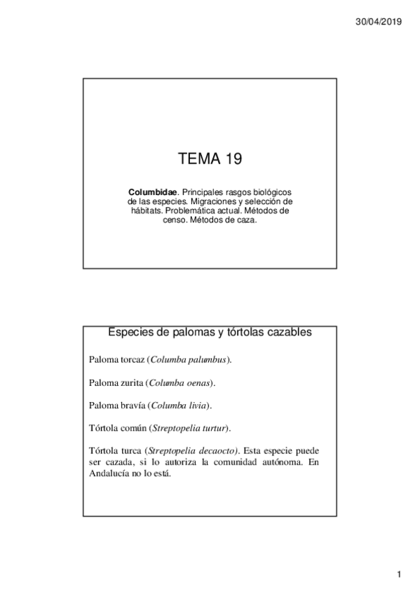 Miniatura del documento TEMA-19.pdf