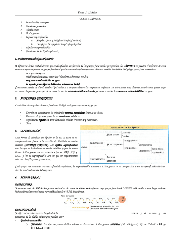 Miniatura del documento tema-03-lipidos.doc