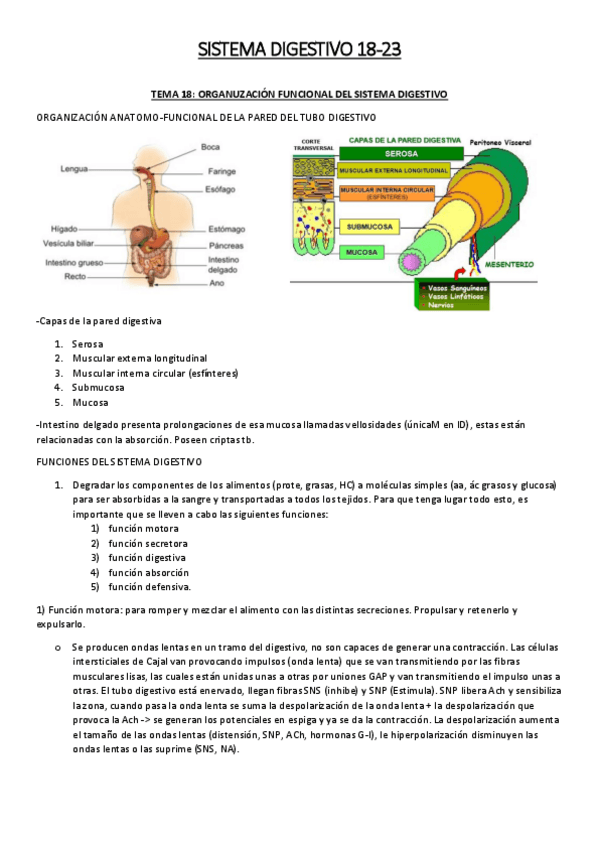 Miniatura del documento SEGUNOD-PARCIAL-FISIOLOGIA.pdf