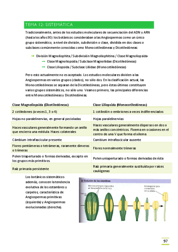 Miniatura del documento TEMA-12.pdf