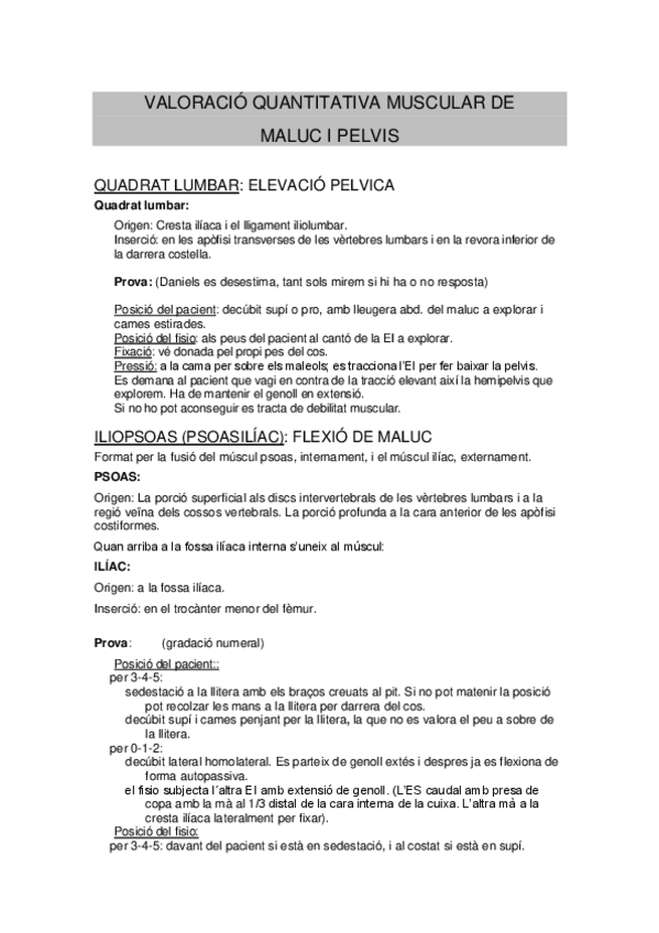 Miniatura del documento Valoracio-Muscular-Maluc-i-Pelvis.pdf