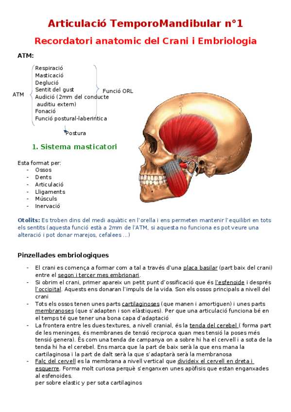 Miniatura del documento 1-bo.docx
