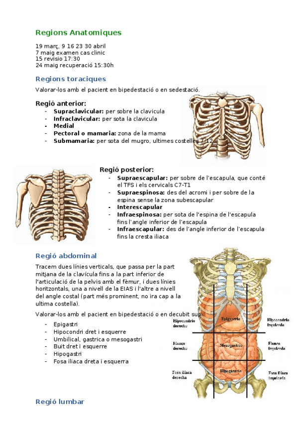 Miniatura del documento Practica-CardioRespi-1.docx