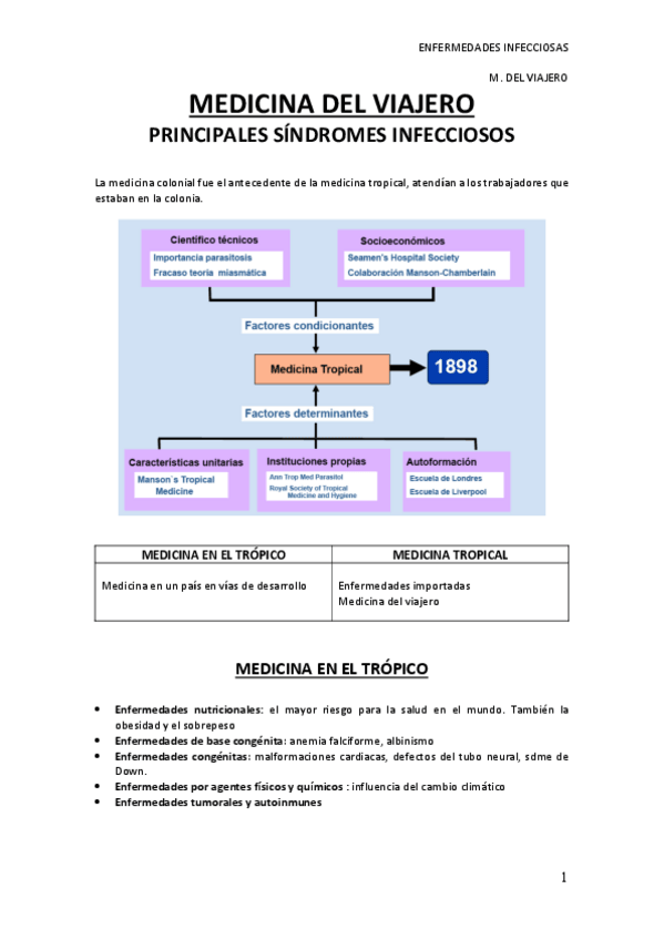 Miniatura del documento MEDICINA-DEL-VIAJERO.pdf