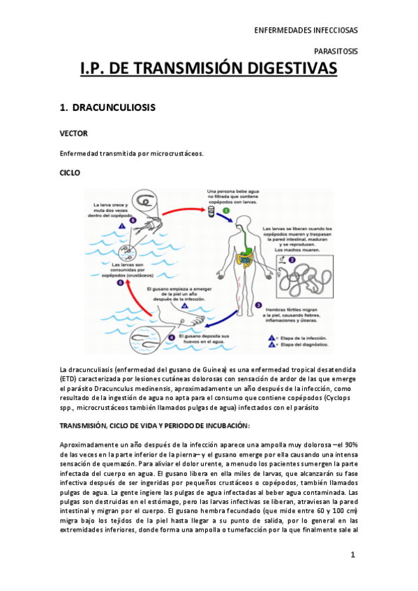 Miniatura del documento parasitosis-3.pdf