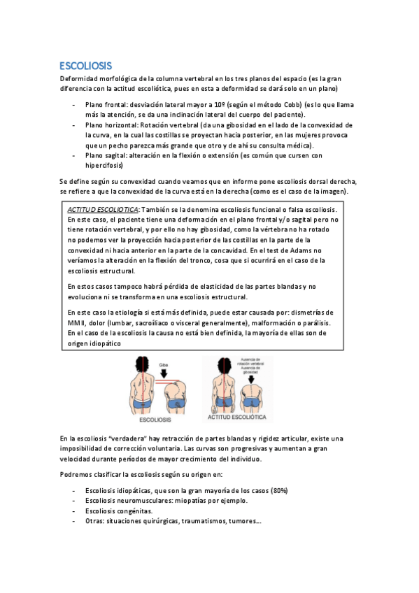 Miniatura del documento 12.pdf