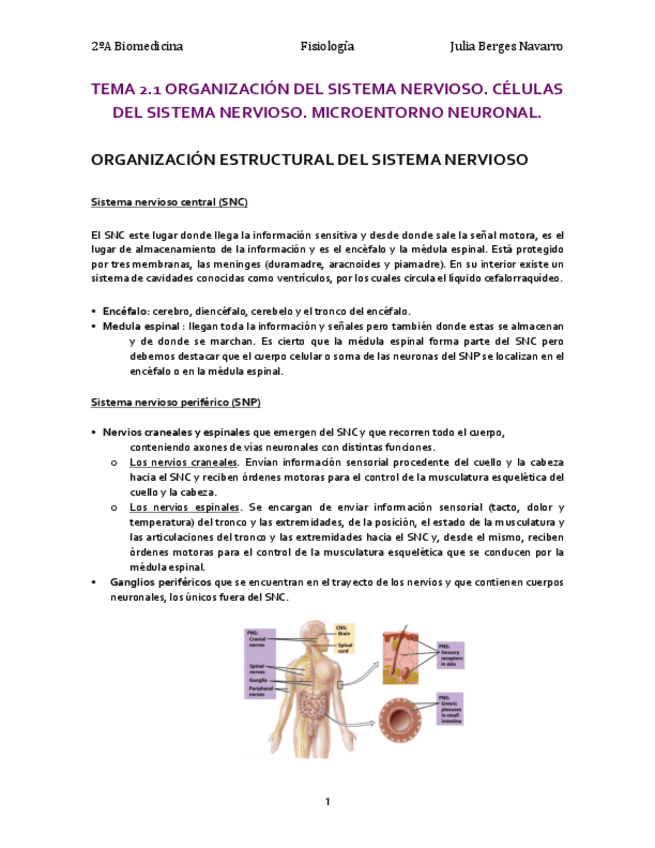 Miniatura del documento TEMA-2.pdf