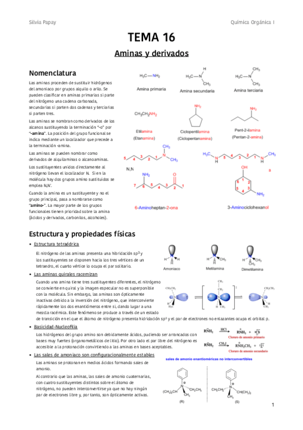 Miniatura del documento TEMA-16-Aminas-y-derivados.pdf