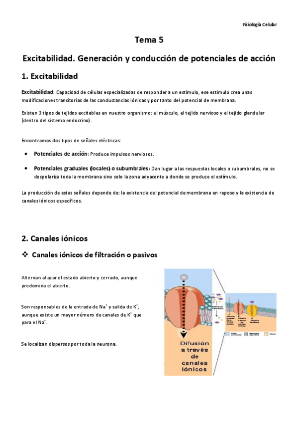 Miniatura del documento Temas 5 y 6 Fisiología.pdf