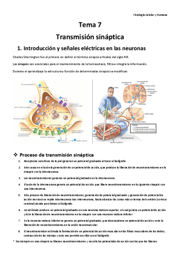 Miniatura del documento Temas 7 8 y 9 Fisiología.pdf