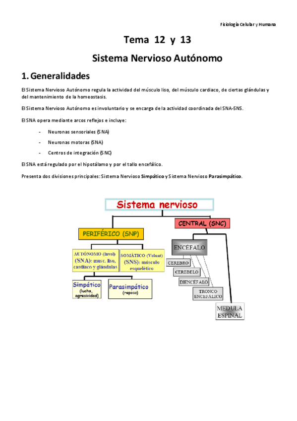 Miniatura del documento Temas 1213 y 14 Fisiología.pdf