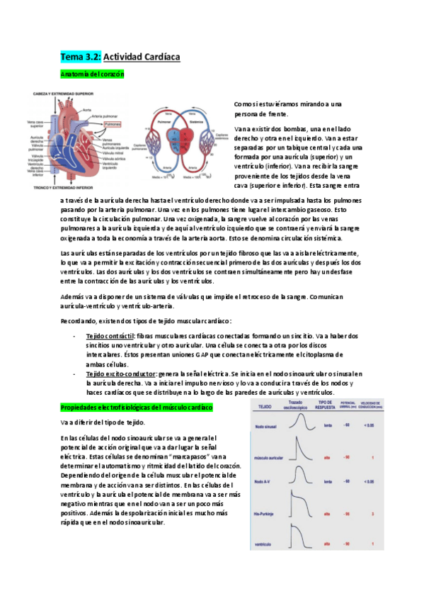 Miniatura del documento Tema-3.pdf