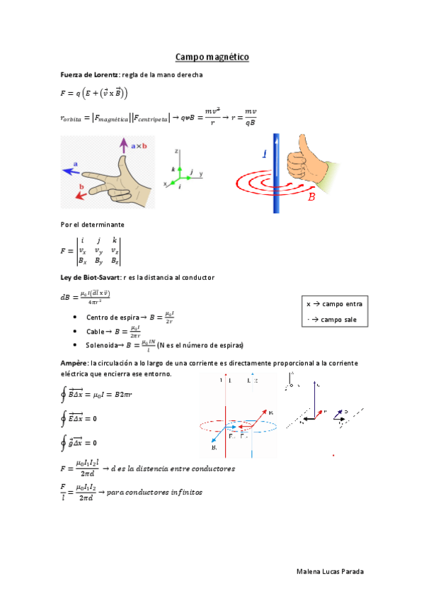 Miniatura del documento Campo-magnetico.pdf