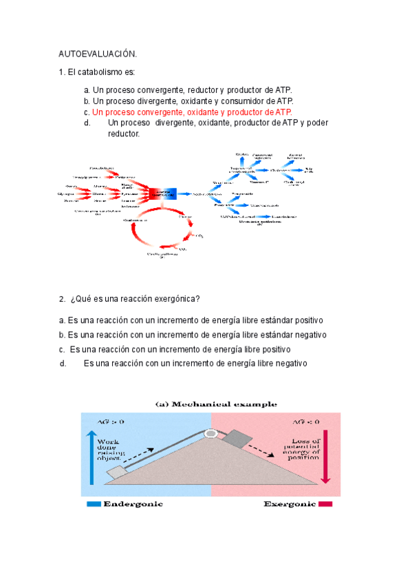 Miniatura del documento Autoevaluación tema 1-2-3 (respuestas)-1.pdf