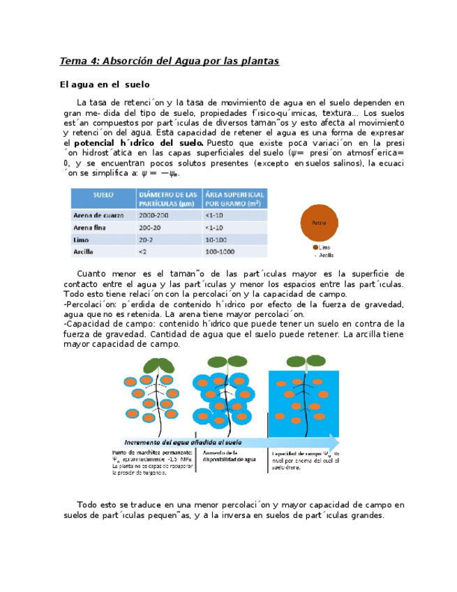 Miniatura del documento Vegetal-Tema-4.docx