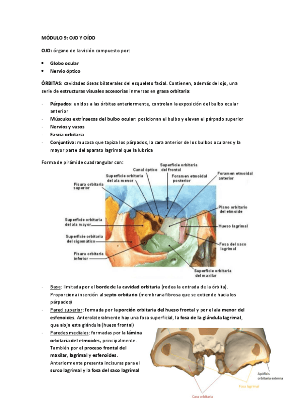 Miniatura del documento MODULO-9-OJO.pdf