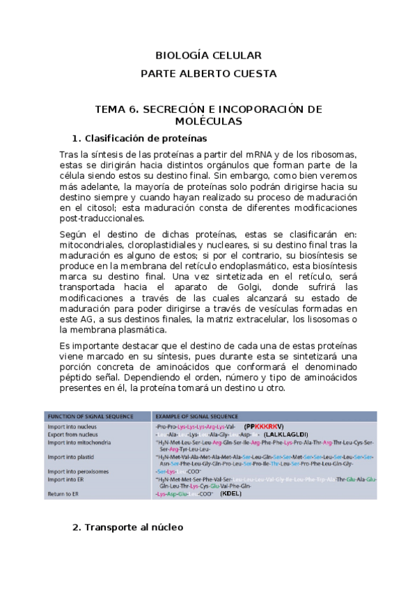 Miniatura del documento Nuevo-Documento-de-Microsoft-Word-3.docx