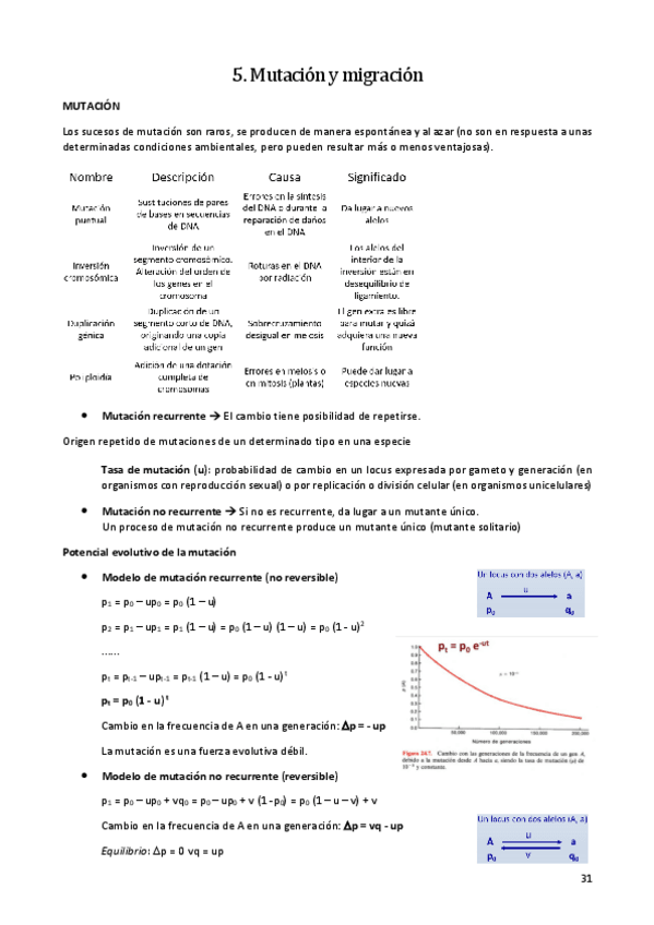 Miniatura del documento 5.pdf