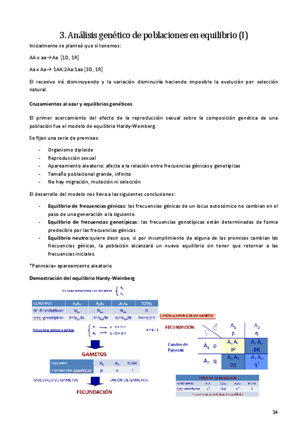 Miniatura del documento 3.pdf