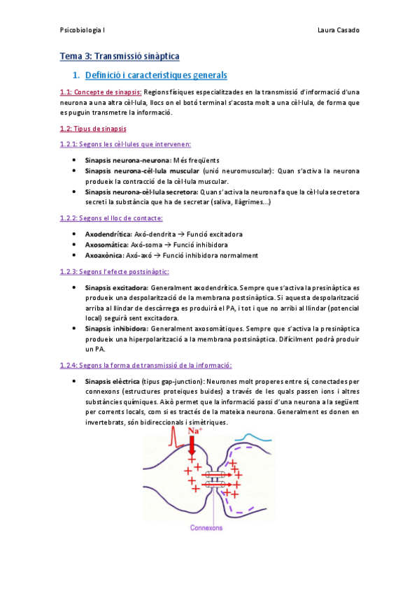 Miniatura del documento Tema 3_Sinapsis.pdf