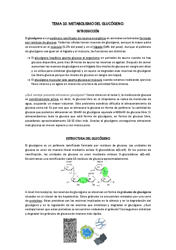 Miniatura del documento TEMA-10.pdf
