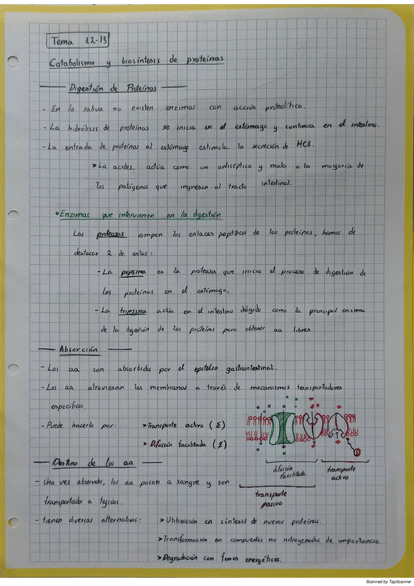 Miniatura del documento Tema1213proteinas.pdf