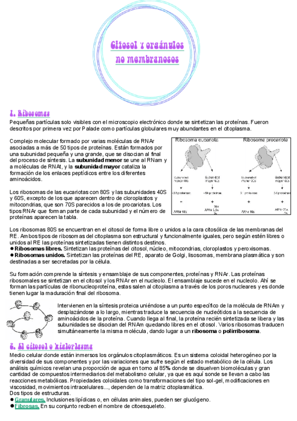 Miniatura del documento 12.pdf
