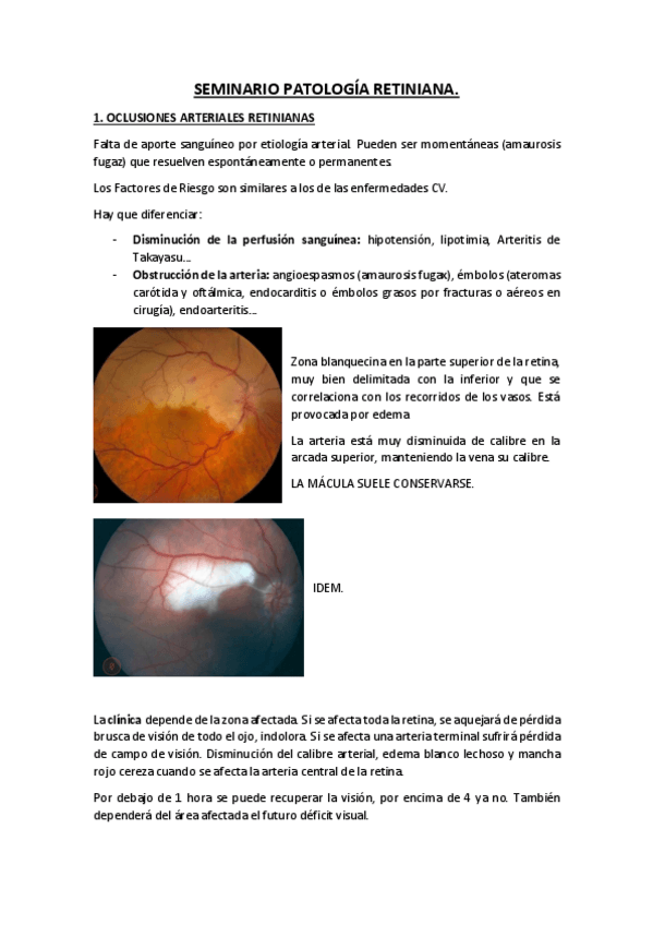 Miniatura del documento SEMINARIO-OCLUSIONES-RETINIANAS-Y-DMAE.pdf