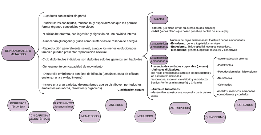 Miniatura del documento Esquema-R.png